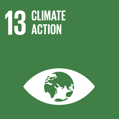 13. Climate action