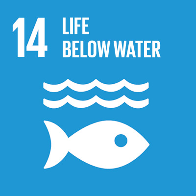 14. Life below water