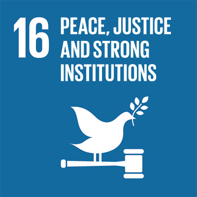 16. Peace, justice and strong institutions