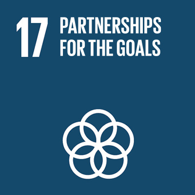 17. Partnerships for the goals