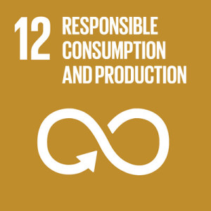12. Responsible consumption and production