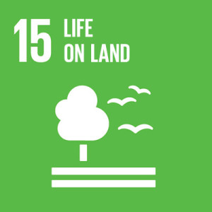 15. Life on land