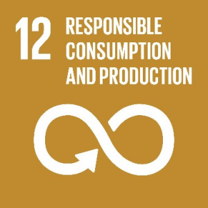 SDG 12: Responsible Consumption and Production